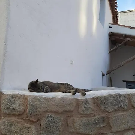 Casetta Da Scoprire A Due Passi Dal Centro